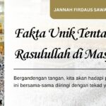 Fakta Unik Tentang Mihrab Rasulullah di Masjid Nabawi